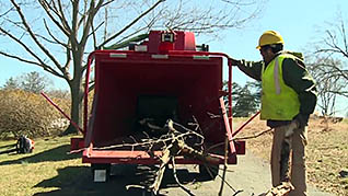 Hearing Conservation and Safety