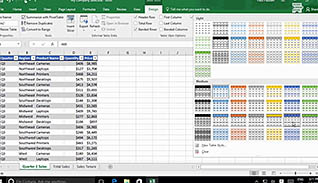 Microsoft Excel 2016 Level 2.3: Analyzing Data